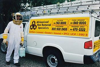 Mesa bee removal service truck and employee